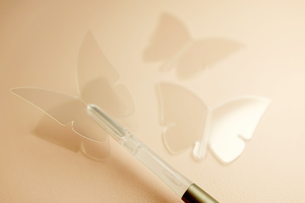 butterfly フライト